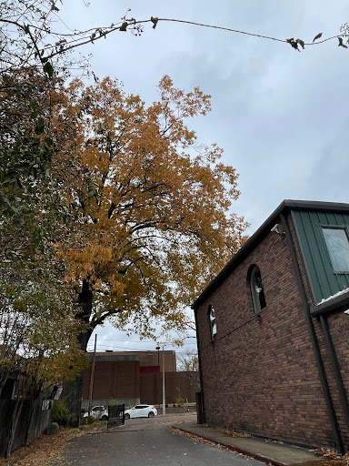 POPLAR AVENUE at KIRBY PARKWAY - Thumbnail