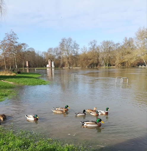 Valteau _ Sébastien - Thumbnail