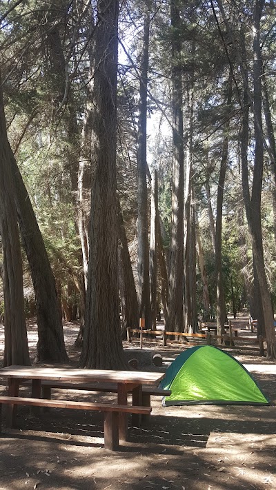 Photos of Camping CONAF Reserva Nacional Laguna Torca