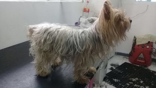 VETERINARIA LA MASCOTTE