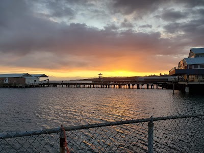 Black Ball Ferry Line