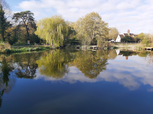 Willian Pond - United Kingdom
