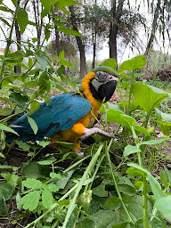 Photo n°34 de La brasserie Vias-plage à Vias (Restaurant)