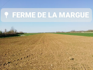 Photo n°19 de Ferme De La Margue à Verniolle (Ferme)