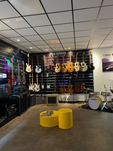 Le Shop Du Son