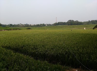 Photos of Cikande Permai housing