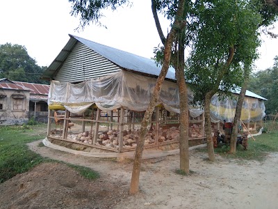 Photos of ভাই ভাই পোল্ট্রি এন্ড ফিসারিজ