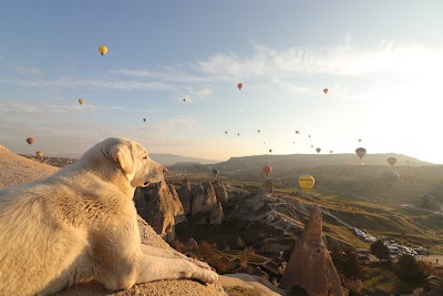 Cappadocia. Camini Di Fata.