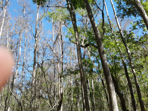 TECO Building at Nature's Classroom - Thumbnail