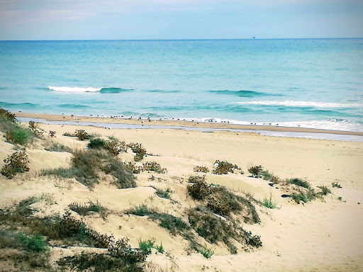 Macchitella Beach - Visual