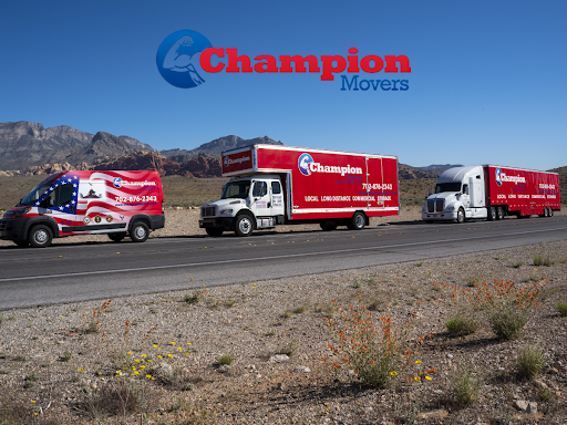 Champion Movers - Visual