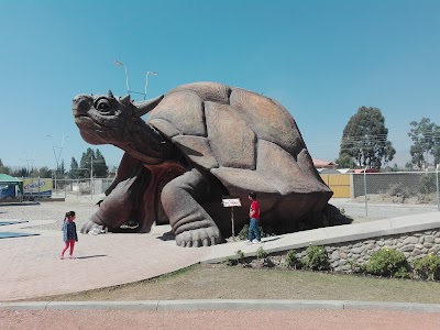 Photos of Parque Jurassico