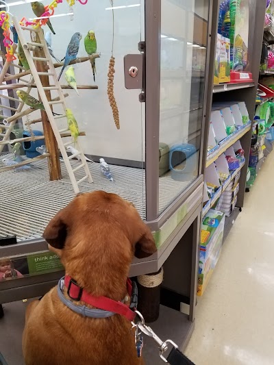 Petco