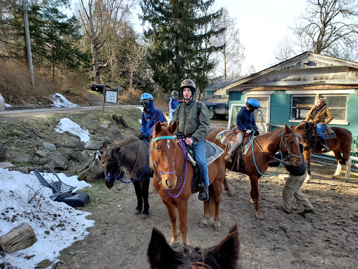 Top View Riding Ranch Gallery - United States