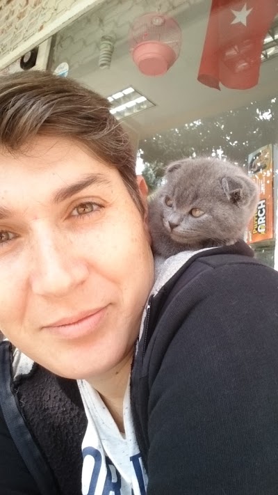 Photos of &Ccedil;ınar Petshop