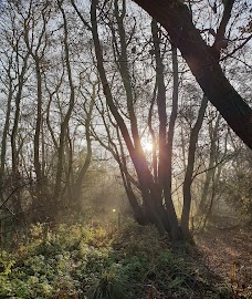 Askham Bog york