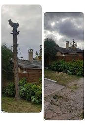 Photo n°25 de Gabard couverture 93110 à Rosny-sous-Bois (Couvreur)