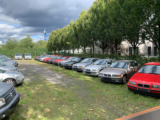Auto Loewe - Visual