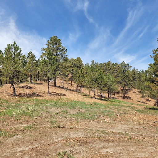 Forestry Fuels and Fire LLC - Thumbnail