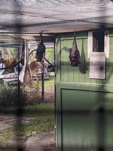 Lubee Bat Conservancy - Visual
