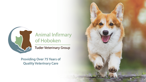 Animal Infirmary of Hoboken Logo