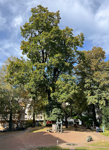 Park spitalhof - Thumbnail