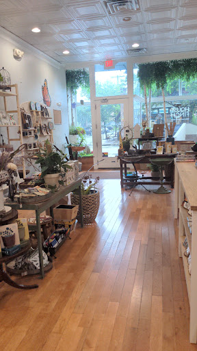 House Finch Suburban Nature Store Gallery - United States