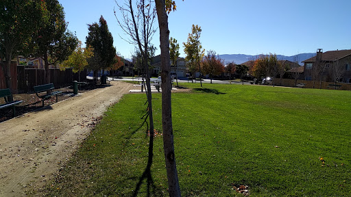 Santa Barbara Park Gallery - United States