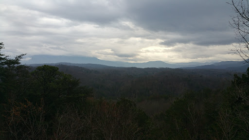 Bear Haven Vacation Rental