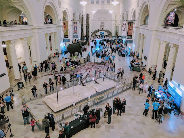 The Field Museum