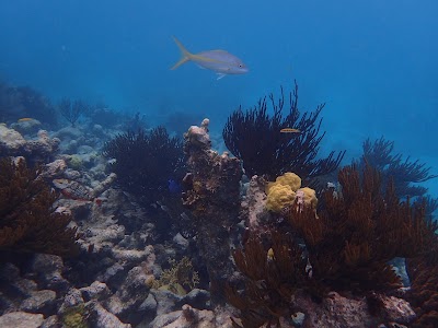 Photos of Dickenson Bay
