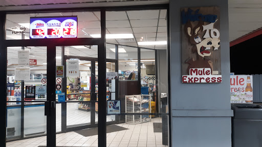 Mule Express - Visual