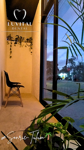 Consultorio Dental Luvital