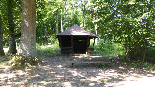 Siebenfichten - Visual
