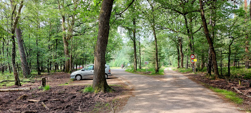 Wandelparkeerplaats schaapskooi Loenermark