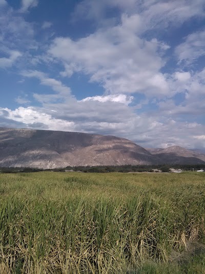 Photos of El Moderno