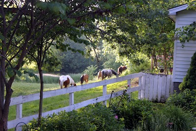 First Farm Inn