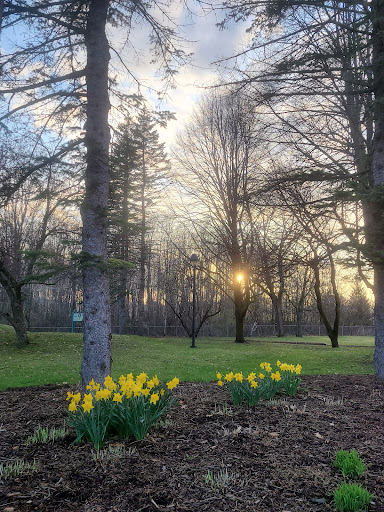 Parc Antonio-Lemaire - Thumbnail