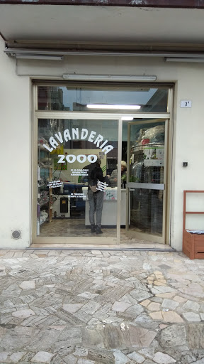 Lavanderia 2000 - Visual