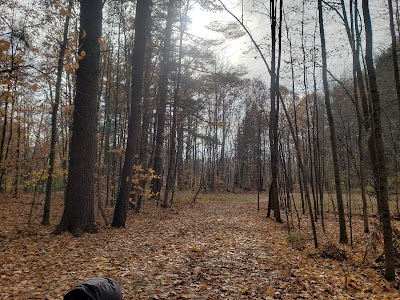 Thorncrag Bird Sanctuary