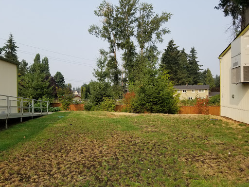 Medina Academy Bellevue - Thumbnail