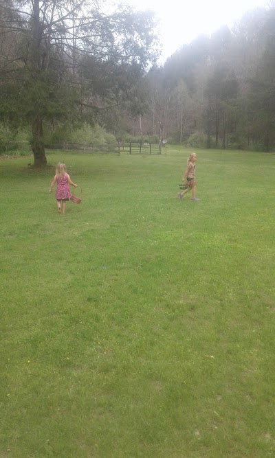 Photos of Panther Wildlife Management Area
