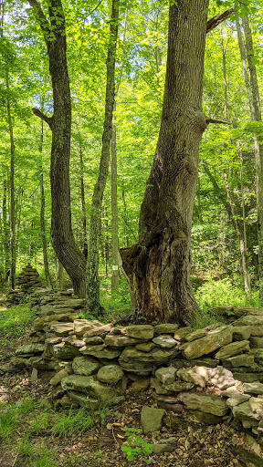 Meadowsweet Preserve