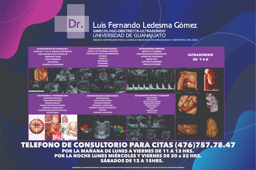 Luis Fernando Ledesma Gómez