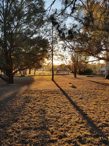 Southern Dog Park - Thumbnail