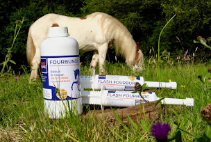 Photo n°2 de First Ekine - Aliments complémentaires et produits de soins pour chevaux à Gourin (Magasin d'alimentation animale)