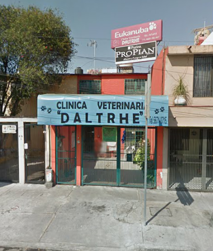 VETERINARY CLINIC DALTRHE