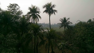 Photos of Nayonamoti Jame Mosque