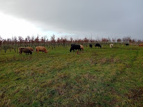 EARL FERME DEPARIS à Escarmain