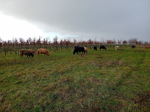 Photo n°2 de EARL FERME DEPARIS à Escarmain (Ferme)